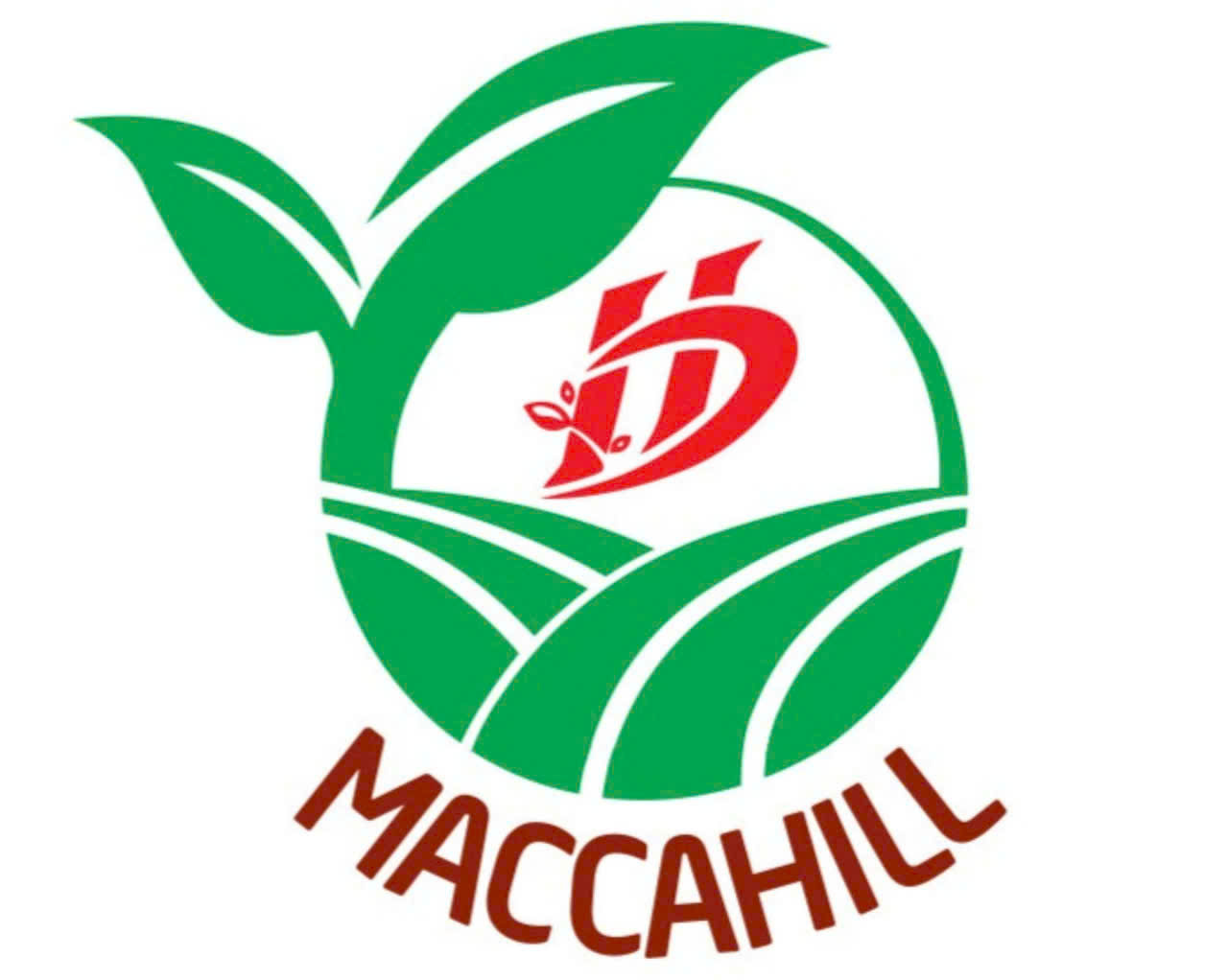 MaccaHill – Mắc Ca KonTum